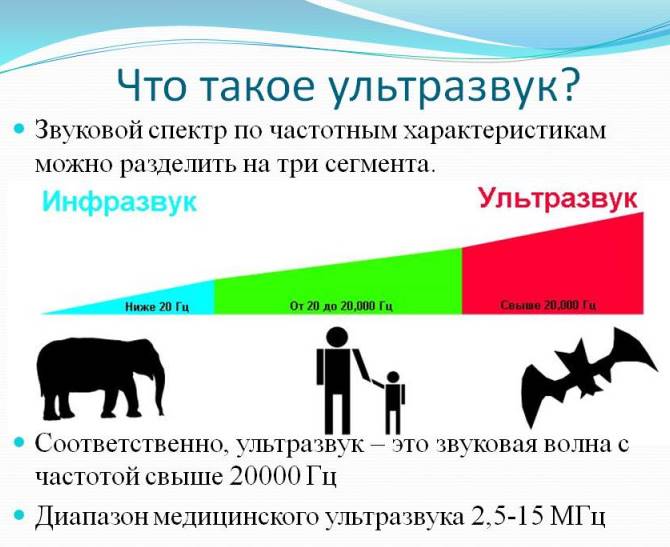 колокольный звон, ультразвук, влияние на пиво, лечение болезней